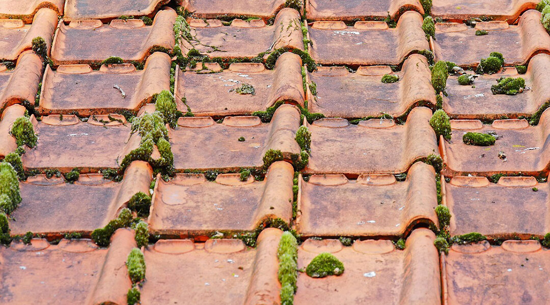 Un couvreur à Royan propose-t-il des contrats d’entretien ?