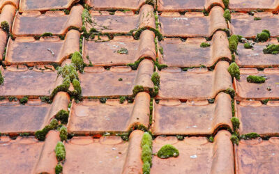 Quels sont les tarifs moyens du nettoyage de toiture à Royan en 2025 ?