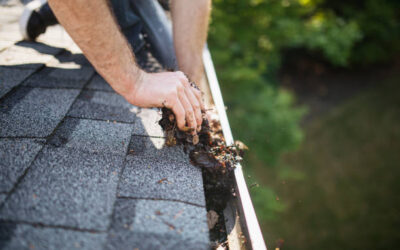 Peut-on combiner nettoyage et réparation de toiture à Royan ?