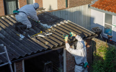 Quels produits naturels utiliser pour un nettoyage à Royan ?