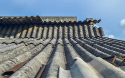 Quelle est la différence entre nettoyage et démoussage de toiture à Royan ?