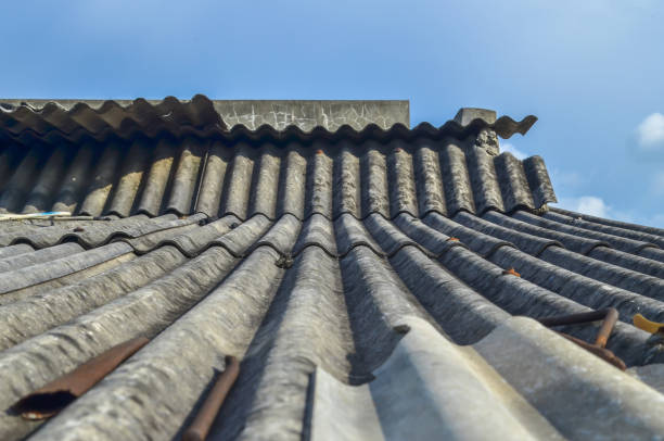 Quelle est la différence entre nettoyage et démoussage de toiture à Royan ?