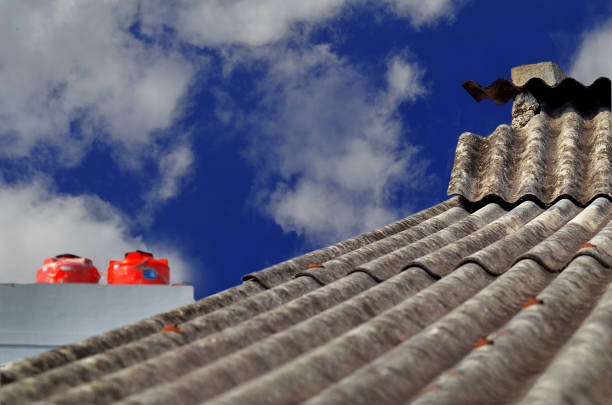 Quelle différence entre un nettoyage à Royan et un traitement hydrofuge ?