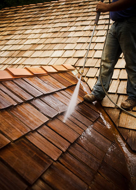 Peut-on regrouper nettoyage et démoussage à Royan ?