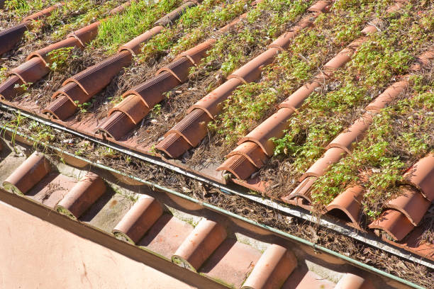 Démoussage de toiture à Royan : Faut-il appliquer un traitement hydrofuge après un démoussage à Royan ?