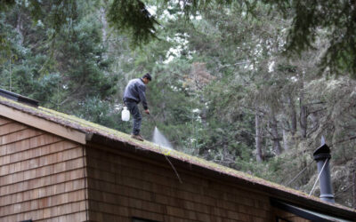À quelle fréquence faut-il démousser une toiture à Royan ?