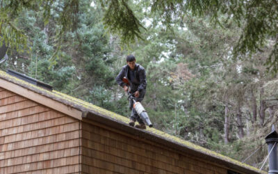 Qui contacter pour un démoussage de toiture à Royan ?